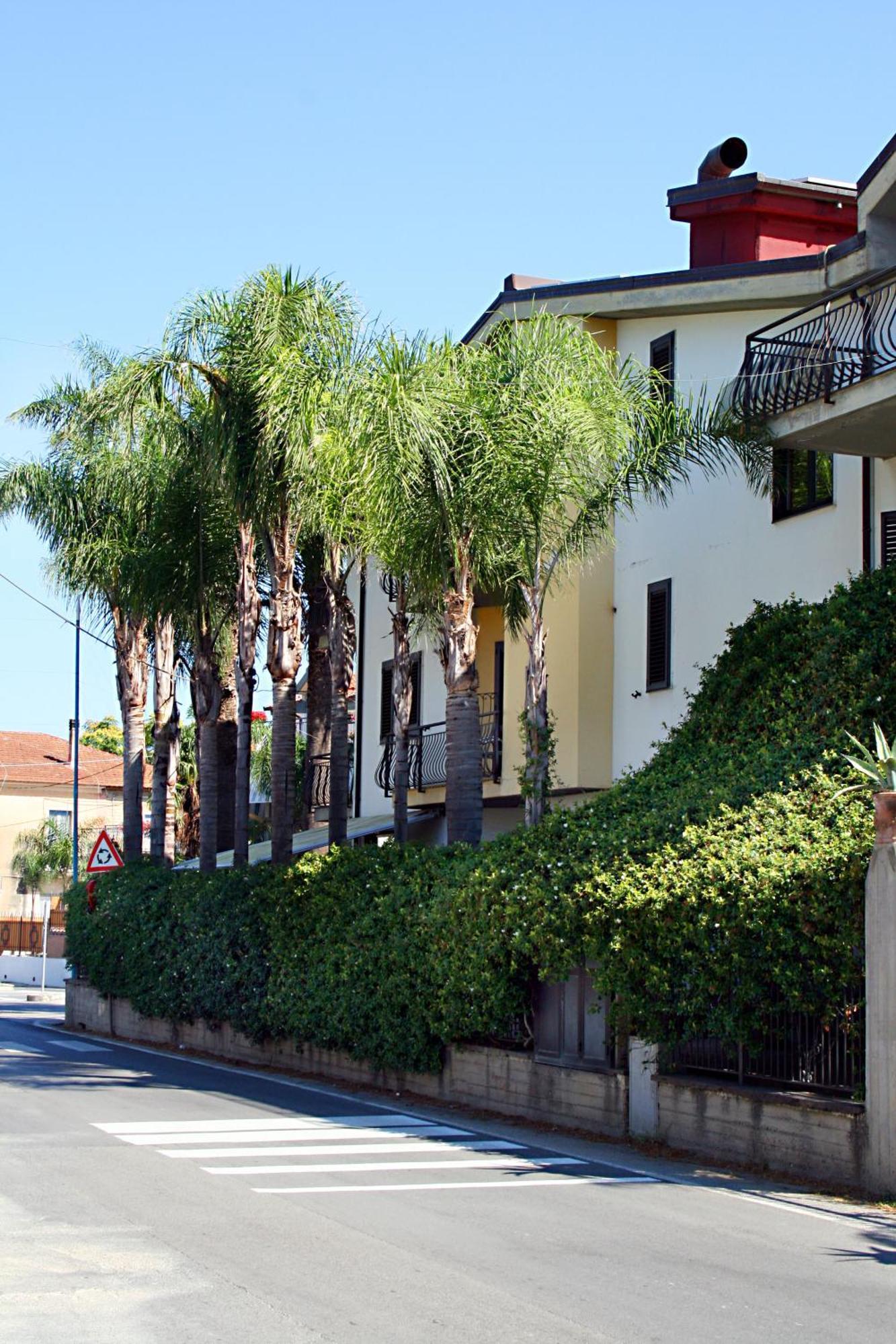 Hotel Il Ceppo Agropoli Exterior foto
